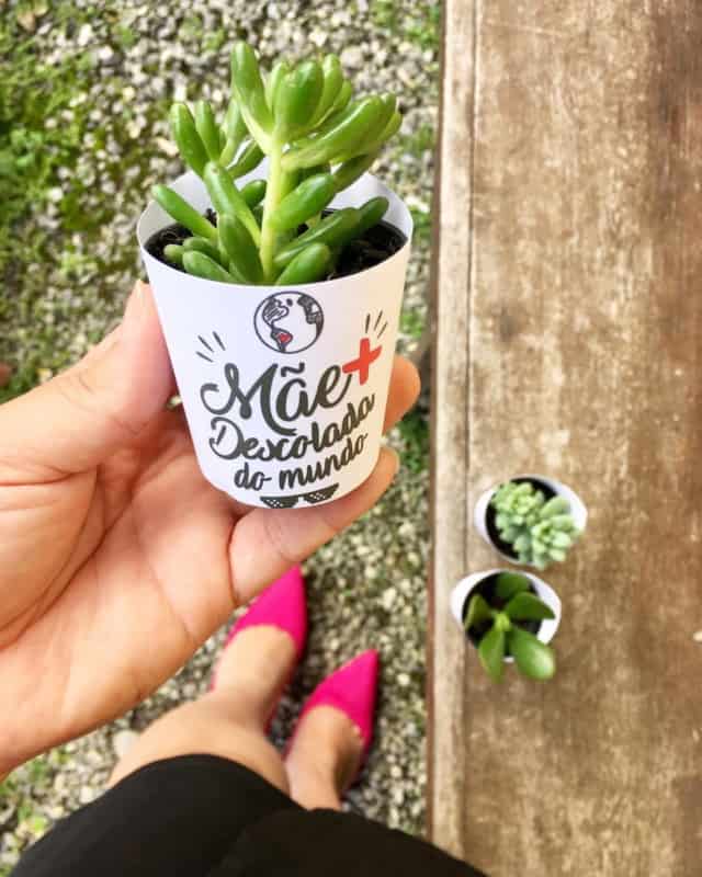 Presente dia das mães plantinha 1 Presente dia das mães plantinha 1