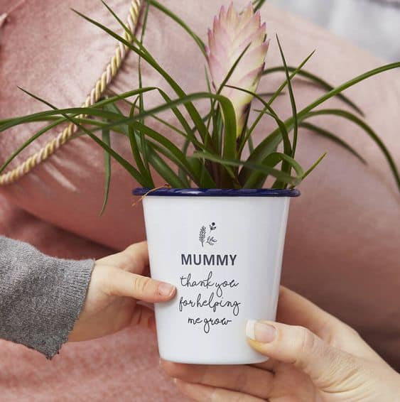 Presente dia das mães plantinha Presente dia das mães plantinha
