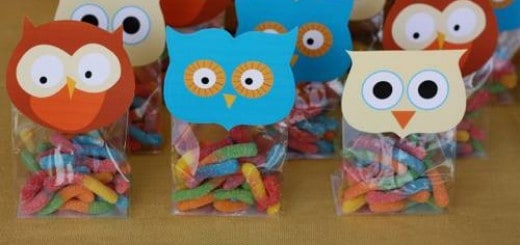 Saquinhos de doces com corujas Saquinhos de doces com corujas