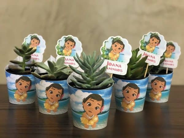 Suculentas da Moana baby lembrancinhas da Moana