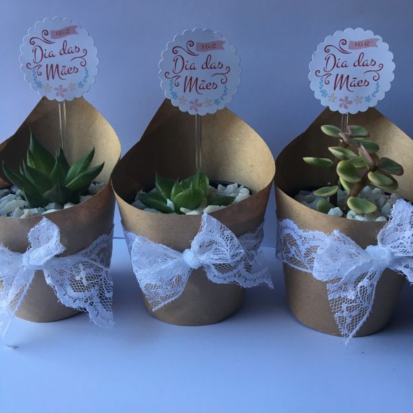 lembrancinha com suculenta para dia das mães lembrancinha com suculenta para dia das mães