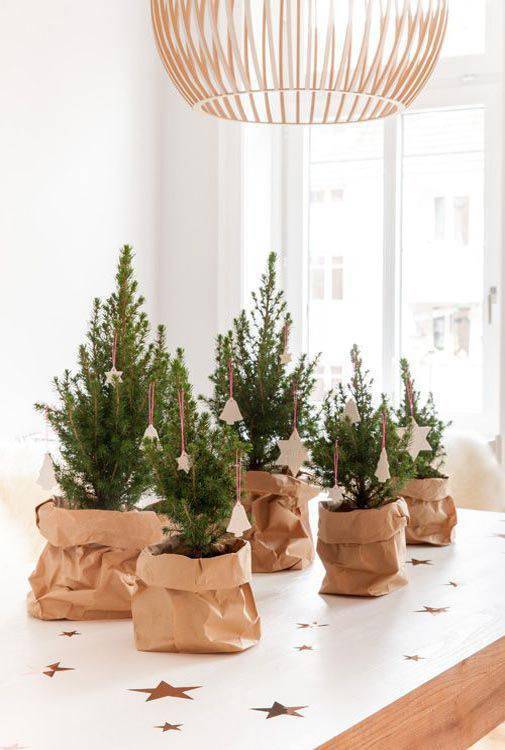 Mudinhas de pequenas árvores decoradas para deixar a casa mais linda neste evento Mudinhas de pequenas árvores decoradas para deixar a casa mais linda neste evento