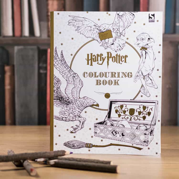 Livro ilustrado do Harry Potter e outras franquias