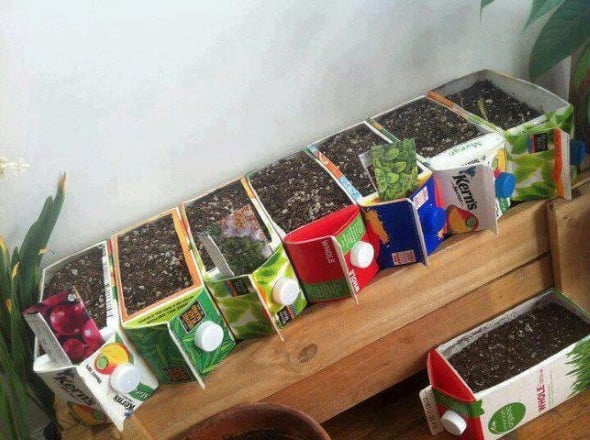 Vale usar as caixinhas até para criar vasinhos de plantas